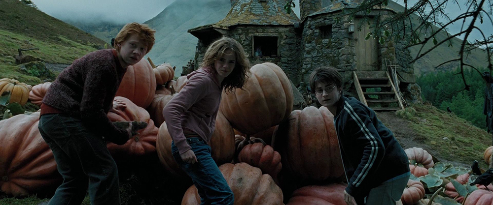 Scena tratta da Harry Potter e il Prigioniero di Azkaban