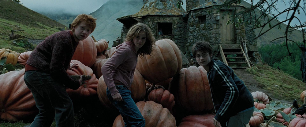 Scena tratta da 
        Harry Potter e il Prigioniero di Azkaban        