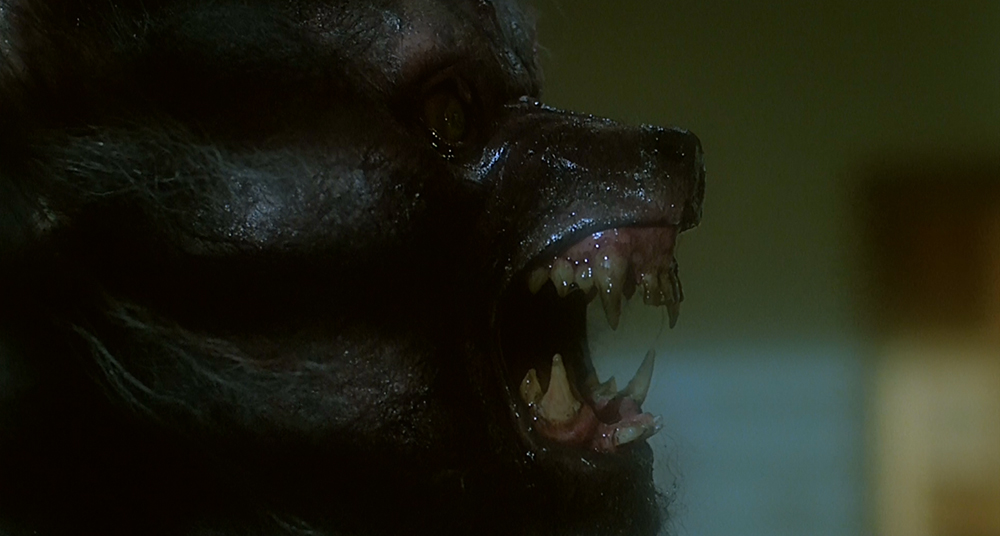 Scena tratta da The Howling